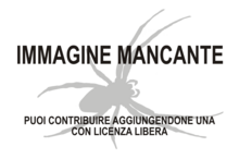 Immagine di Encoptarthria mancante