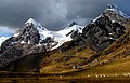 Image 4Herds of alpacas near Ausangate mountain (from Andes)