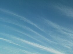 Fine type of Cirrus Clouds