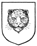 leopárdarc (leopard's face)