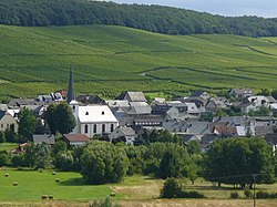 Skyline of Osann-Monzel