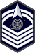 E-8 insignia