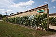 Mur à vigne du jardin Salomon.