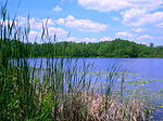 Benton Lake and surrounding forests.