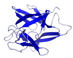 Estructura de la Interleucina-1