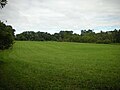 Image 7A field north of Fox Den Road along the Lenape Trail in Middle Run Valley Natural Area (from Delaware)