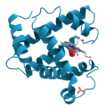 Miniatura para Proteína