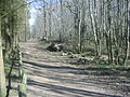 Le bois de la Brosse.