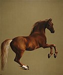 Whistlejacket karya George Stubbs, sekitar 1762