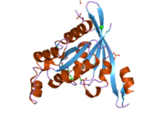 2odb: The crystal structure of human cdc42 in complex with the CRIB domain of human p21-activated kinase 6 (PAK6)