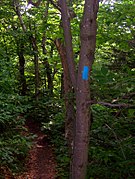 Repère bleu au mont Greylock dans le Massachusetts