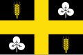 Vlag van Raalte