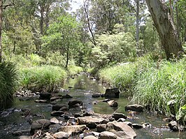 Nationaal park Werrikimbe