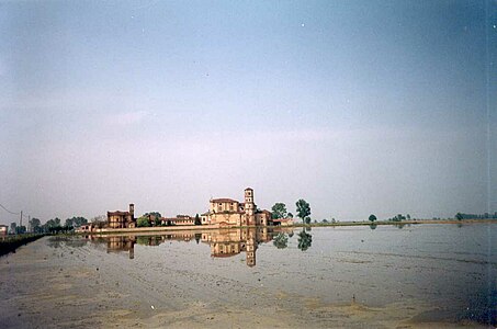 Rizières de l'Abbaye de Lucedio à Trino.