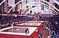 Tapis de lutte en 1968 (lors des Jeux olympiques d'été à Mexico)