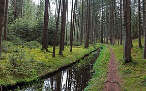 Ursprung (linker Zufluss des Haidelbachs)