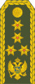 General pukovnik (Montenegrin Ground Army)[8]