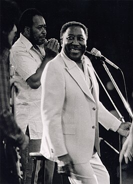 Muddy Waters met James Cotton (1978), in Ontario Place, Toronto