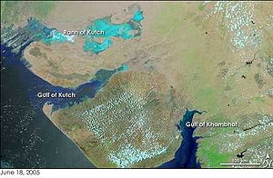 Der Golf von Kachchh im linken Bereich. Bild NASA Earth Observatory