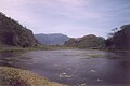 Laguna Volcán