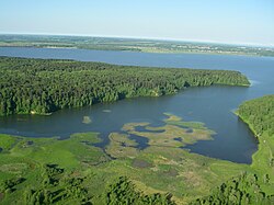 Коён впадает в Бердский залив близ Морозово.