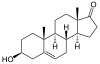 Prasterone