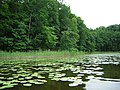 Jeziorak lake