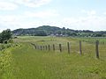 Vue sur le mont Aigu (Scherpenberg)