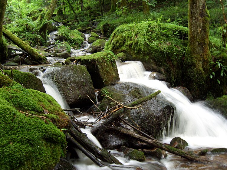 Ruisseau de Chaudefontaine à Vecoux dans les Vosges