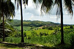 Tropical forest and farmland