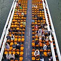 Bateau-Mouche, tàu chở khách du lịch trên sông Seine