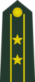 Lieutenant colonel