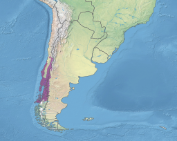 Kart som viser Dei tempererte valdiviske skogane.
