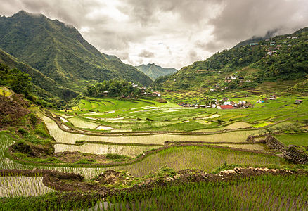 Philippine Music Survey focusing on Cordillera Administrative Region