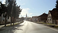 Pitomača, centar