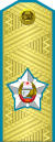 Vice marshal