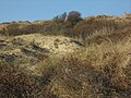 Les dunes en 2011.