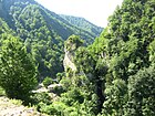 La nature de la région de Gouba.