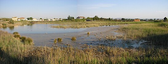 El Ojo del Cura, es una típica laguna cárstica situada en el Ebro medio, alimentada por el rebosamiento del acuífero fluvial.