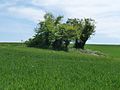 Dolmen La Pierre Folle