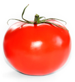 Tomato-front.png : vue de face