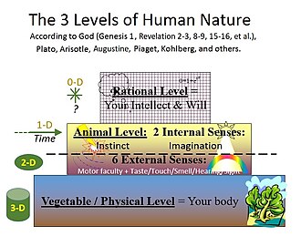 The 3 layers of human nature.