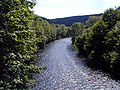 Sungai Wupper di hutan Wuppertal