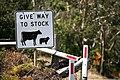 Image 11This Australian road sign uses the less common term "stock" for livestock. (from Livestock)