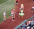 Pierogie race