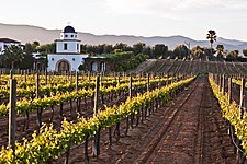 Valle de Guadalupe Clima mediterrâneo (Csa)