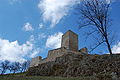 Burgruine Haus Murach