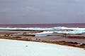 Fringing Reef na ilha Flint