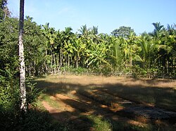 Landscape of a Tulu Nadu village