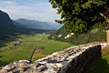 Blick von der Ruine aufs Drachenried